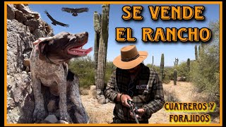 CUATREROS Y FORAJIDOS PARTE 13 RANCHO A LA VENTA ACABAN CON EL GANADO… [upl. by Nimaj]