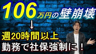 【超悲報】年収106万円の社会保険・扶養の壁崩壊がほぼ決定！130万の壁も実質ほぼ崩壊で社保負担大幅増に！手取り給与は激減します。。 [upl. by Noivax966]