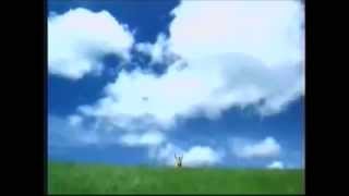 Windows XP Commercial [upl. by Aetnahs846]