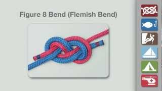 Figure 8 Bend  How to Tie the Figure 8 Bend [upl. by Nairadal]