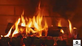 LIVE Warm up with our holiday yule log [upl. by Valsimot770]