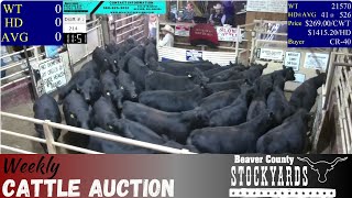 10242023  Beaver County Stockyards Livestock Auction [upl. by Eerehc]