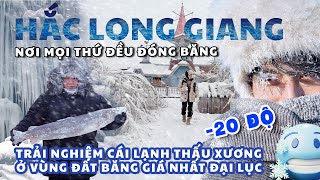 TRUNG QUỐC BỘI THU quotTỶ ĐÔquot NHỜ DU LỊCH BĂNG TUYẾT CÁP NHĨ TÂN MÙA ĐÔNG [upl. by Adella]