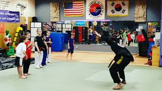 Brandon H Lee Taekwondo demonstration [upl. by Mulac637]