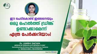 ഞവര ഇല കൊണ്ട് ഒരു ഹെൽത്ത് ഡ്രിങ്ക്  പനിക്കൂർക്ക  panikkoorkka  Njavara ila  Dr Jumshi Sachin [upl. by Baldridge911]