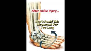 After Ankle Sprain Dont Avoid This Movement [upl. by Accebor155]