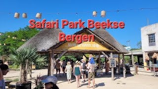 Safari Park Beekse Bergen  wildlife sanctuary [upl. by Constancia]