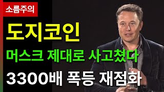 도지코인 전망머스크 제대로 사고쳤다 3300배 폭등 재점화 [upl. by Elleuqram]