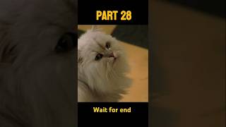 Stuart little part 28 tranding shortfeed viralyoutubeshorts stuartlittle [upl. by Nayek]