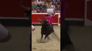 Guy backflips over bull fyp explore bullfighting backflip stunts [upl. by Liddy]