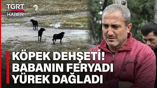 Köpek Saldırısına Uğrayan Çocuğun Babası Konuştu Feryadı Yürekleri Dağladı  TGRT Haber [upl. by Floeter]