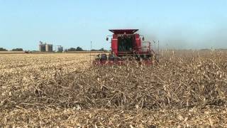 Combine Corn Reel In Down Corn Front View by Meteer Manufacturing [upl. by Lamont]