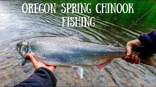 Spring Chinook Salmon Fishing With Spinners On A Light Action Rod [upl. by Nahtanaj]