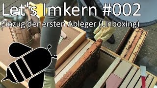 Lets Imkern  002  Einzug der ersten Ableger Unboxing [upl. by Ahseel]