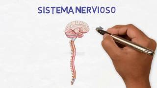 Neurología para pacientes  ¿Qué hacen los neurólogos [upl. by Ayerf]