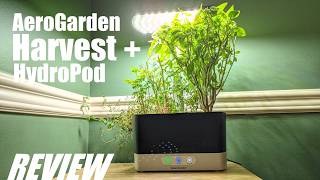 REVIEW AeroGarden Harvest Smart Indoor Hydroponics Growing System  Herb Garden in 1 Month [upl. by Serg]