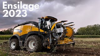 ENSILAGE DE MAÏS 2023  New Holland FR550 [upl. by Asp]