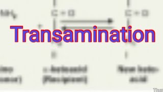 Transamination Biochemistry [upl. by Sherwin397]