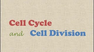 Cell Cycle and Cell Division [upl. by Ailbert]