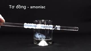 Hòa tan cellulose trong nước Schweizer tạo tơ đồng  amoniac [upl. by Anialahs]