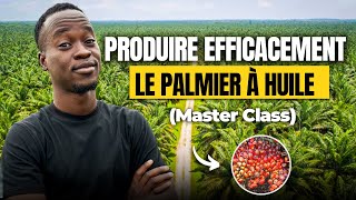 Comment produire efficacement le palmier à huile MasterClass [upl. by Adrahs]