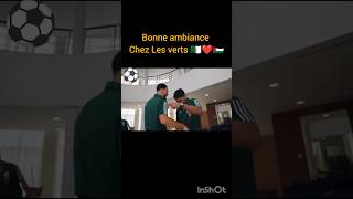 Bonne ambiance chez les verts 🇩🇿🇵🇸❤️ free Palestine [upl. by Llabmik]