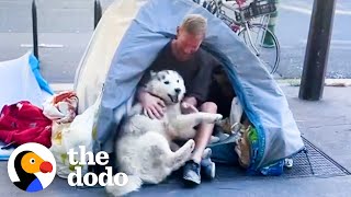 Husky Becomes Obsessed With Homeless Man And Helps Change His Life Forever  The Dodo [upl. by Jacki314]