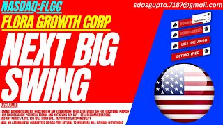 NEXT BIG SWING  FLGC STOCK ANALYSIS  FLORA GROWTH CORP STOCK [upl. by August]