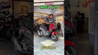 Wmoto XDV 250i Seat Height Test darmamotor wmoto xdv250 scooter seatheight fyp [upl. by Horan]