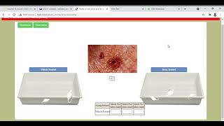 Demonstration of antiulcer activity by using pylorus ligand SHAY ratmouse model [upl. by Earahs330]