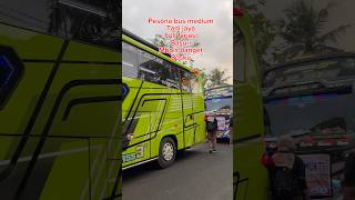 Bus tani jaya full variasi busmania busmedium buskerenn jb3 bus [upl. by Schoof]