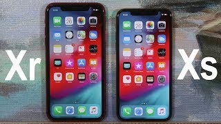 iPhone Xr vs iPhone Xs  Full Comparison [upl. by Aeneas759]