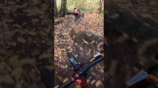 SICK BERMS 🤤🔥 bike mtb fun mountainbike berms [upl. by Anihc187]