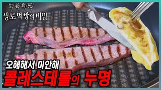 별로 재미 없지만 뻔뻔하게 올린 생로먹방 13탄 콜레스테롤의 누명  KBS 151028 방송 [upl. by Nipha]