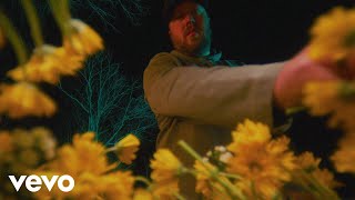 Mitchell Tenpenny  Breaking My Heart Official Music Video [upl. by Glogau479]