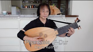 quotリュート Lute Luth“ Phantasia FDur David Kellner “Baroque Lute バロックリュート” [upl. by Lenee]