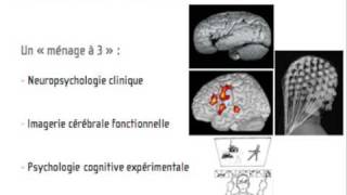 Linconscient neuronal 1 [upl. by Yaniv]