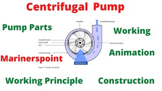 Centrifugal Pump  Working Principle Construction Parts with Animation [upl. by Rangel23]