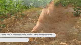 Geolifes Stress FreeEfficiency enhancer for Quick Resultsof Selective Herbicides Marathi [upl. by Yma218]