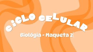 Ciclo celular 🧫 Maqueta 2  Biología [upl. by Cornell]