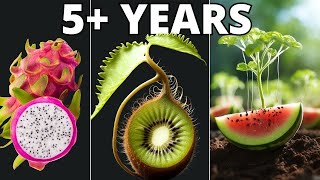 I Grew Plants for 5 YEARS to Make This TIMELAPSE Compilation [upl. by Leitnahs]