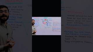 Laryngopharynx Division of Pharynx Structure and Functions anatomy viralvideo neet biology [upl. by Khoury]