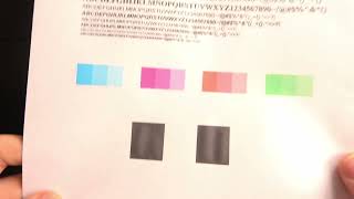 Cleaning the Printhead of HP OfficeJet Pro 6960  Maintain Print Quality [upl. by Ahsinnor]