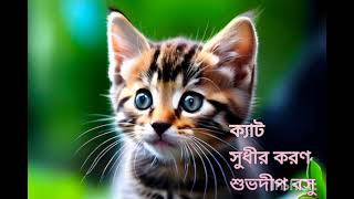 cat Sudhir Karan [upl. by Nevuer]