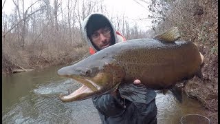 Fishing Small Creeks for The Biggest Trout Ive Ever Seen [upl. by Annelg]