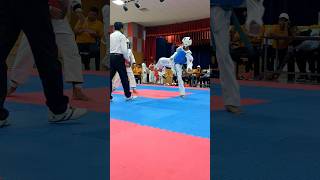 Taekwondo Final Match [upl. by Wawro]