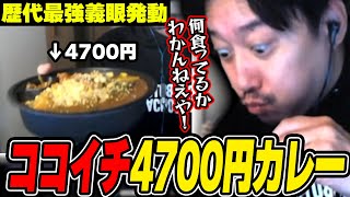 4700円分のクソデカCOCO壱カレーに挑戦する布団ちゃん【20241120】 [upl. by Zinnes952]