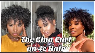 Making my 4c hair manageable and curly with the Gina Curl [upl. by Irmina399]