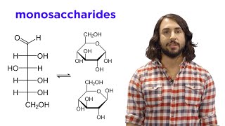 Carbohydrates Part 1 Simple Sugars and Fischer Projections [upl. by Nobel151]