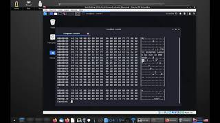 CS6038 2020 Week 4 Lecture  Disassembly tools and Ghidra [upl. by Ocsisnarf537]